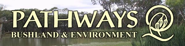 Description: G:\WebSite Backups\PathwaysBushLand- Doug Frood\pics\wetland02.jpg